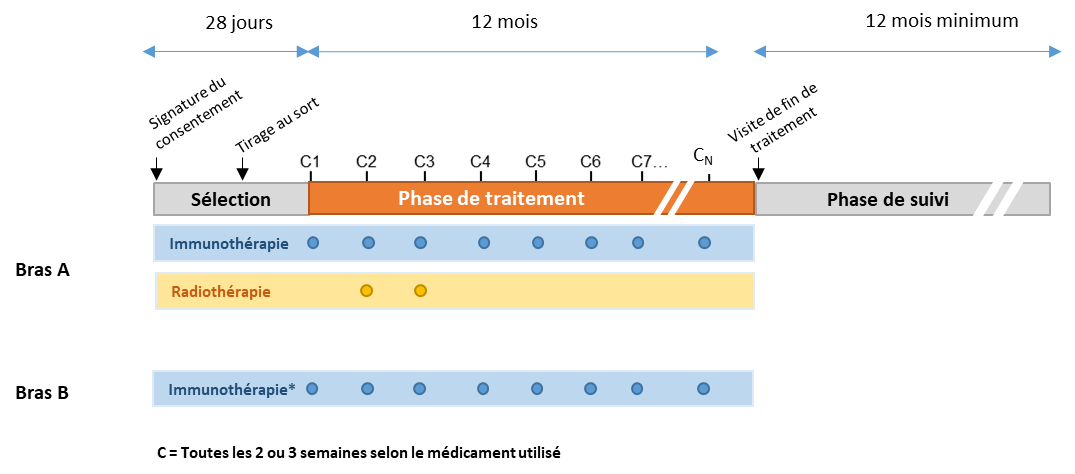 cset 2877