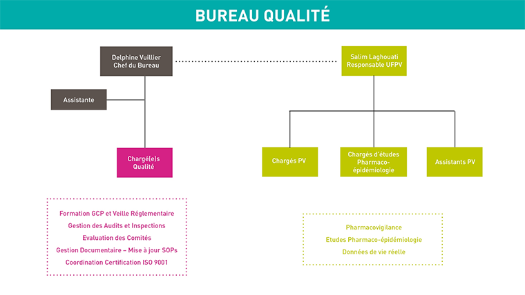 Organigramme