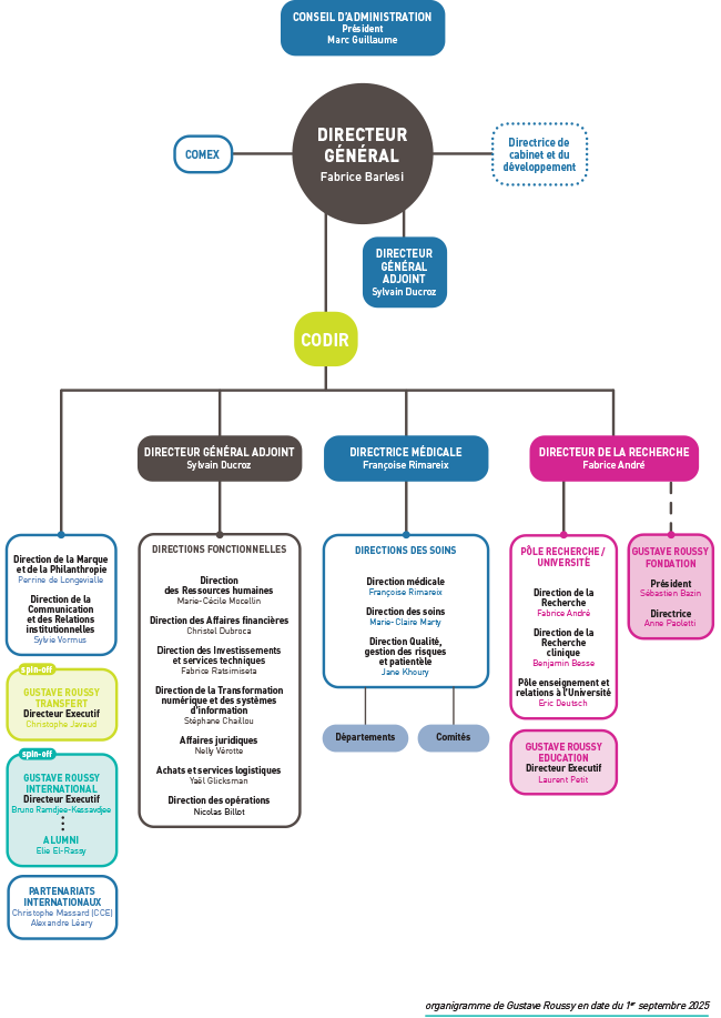 Organigramme de direction
