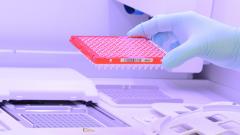 Image d'illustration