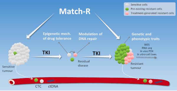 Match-R